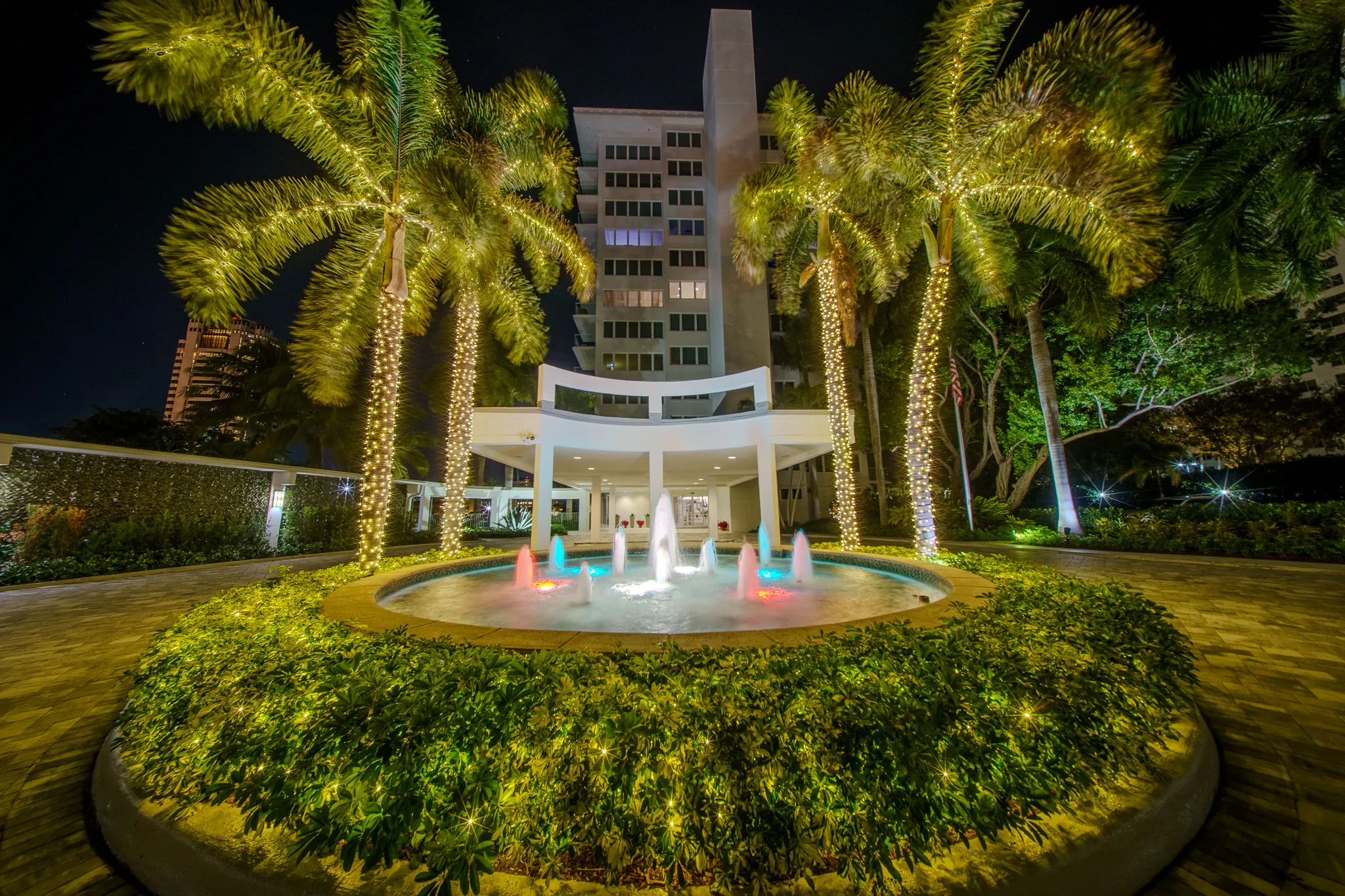 Property entrance with palms wrapped in warm-white mini lights — 6-inch spacing