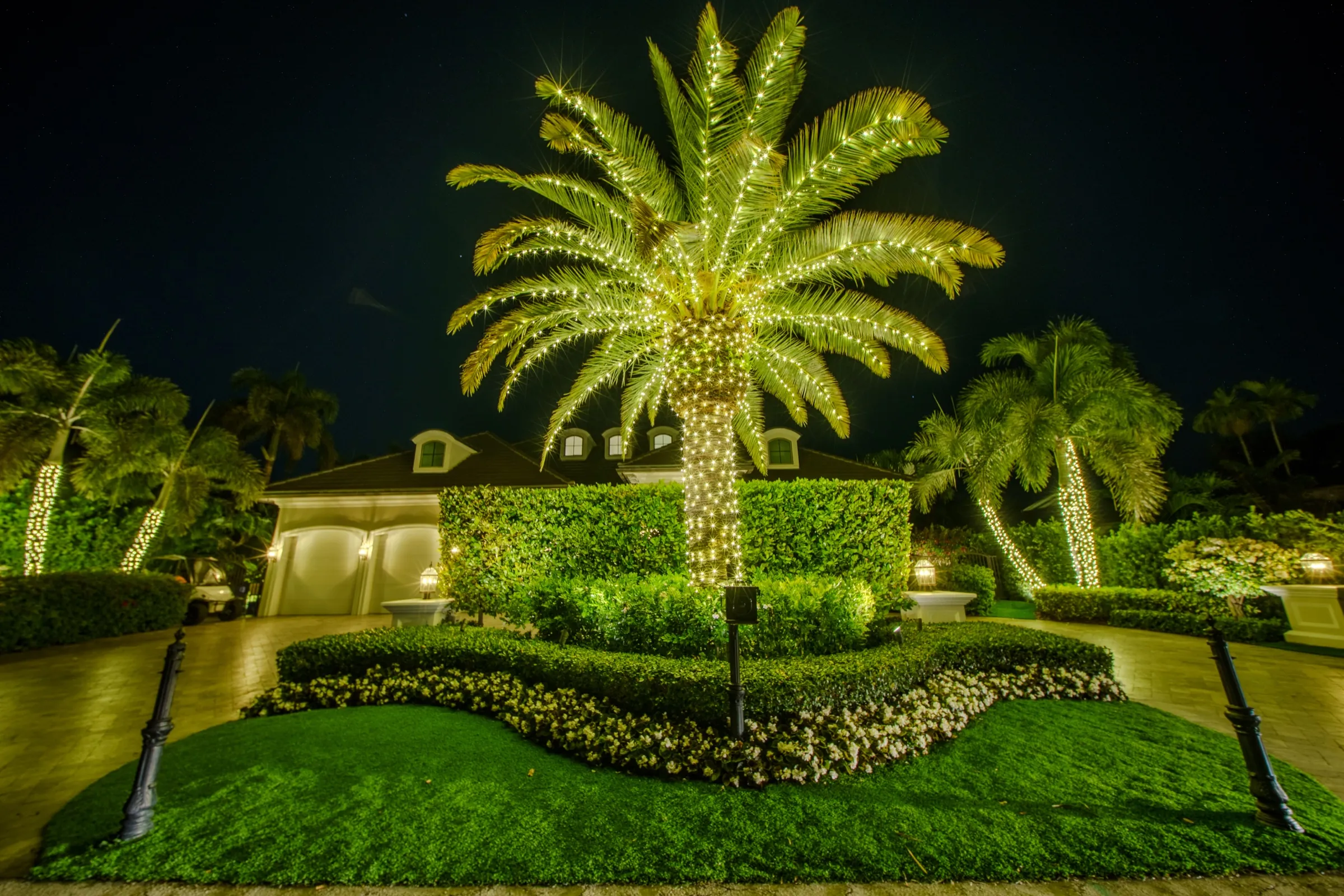 Warm-white mini lights woven through manicured hedges — Kingsley's most popular color